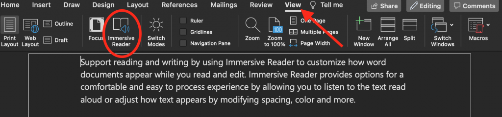 Screen shot showing the Immersive Reader using the Desktop version of Word 