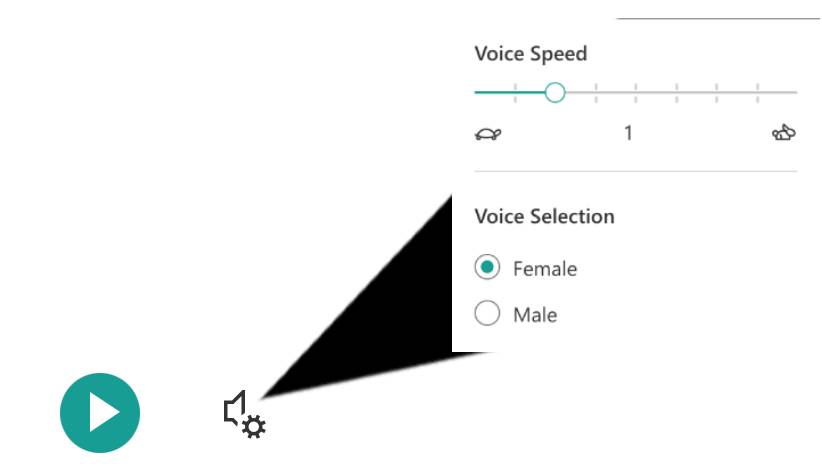Screen shot showing the Immersive Reader speech settings 